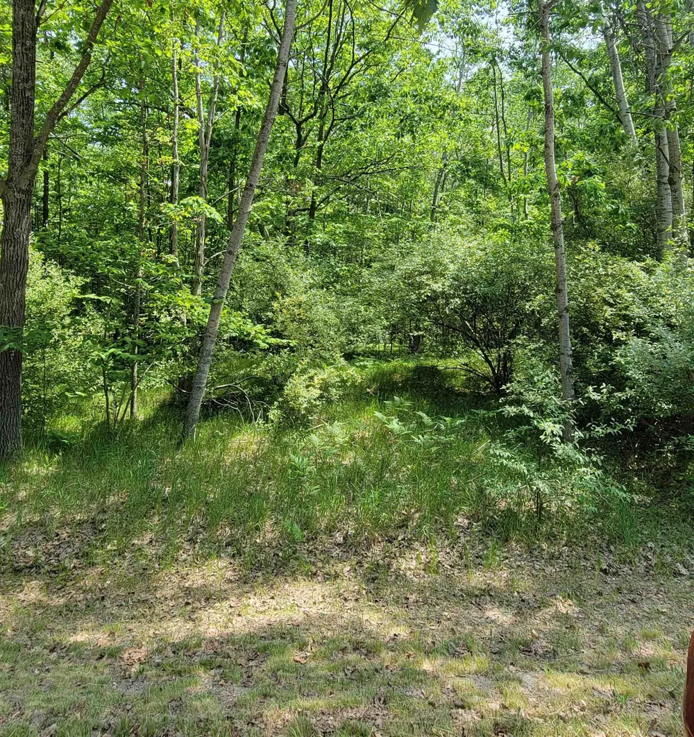 1144 Queensway Drive Lake Isabella Village, MI 48893