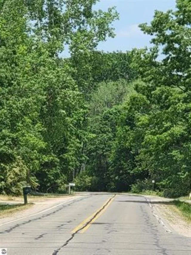 1144 Queensway Drive Lake Isabella Village, MI 48893