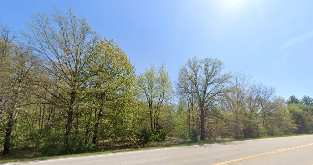 Graham Swan Creek Township, MI 48609