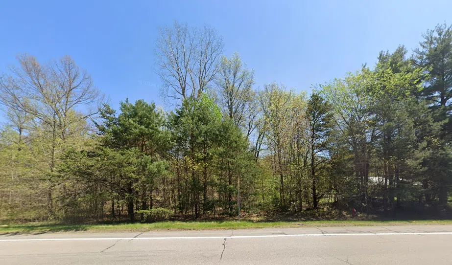 Graham Swan Creek Township, MI 48609