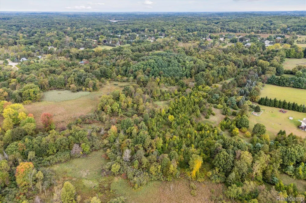 Swarthout Rd Hamburg Township, MI 48169