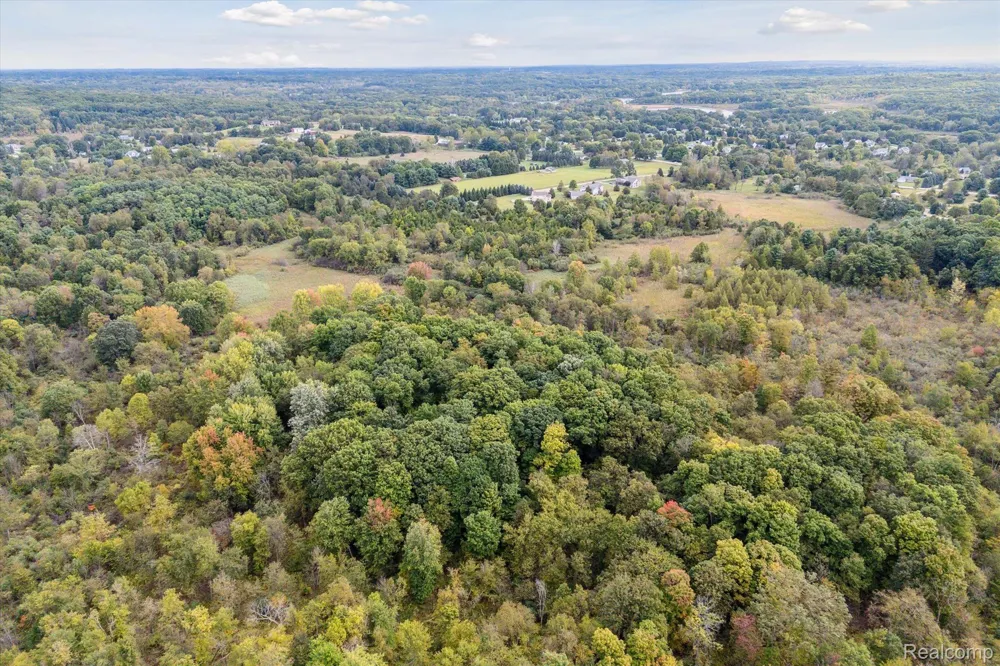 Swarthout Rd Hamburg Township, MI 48169