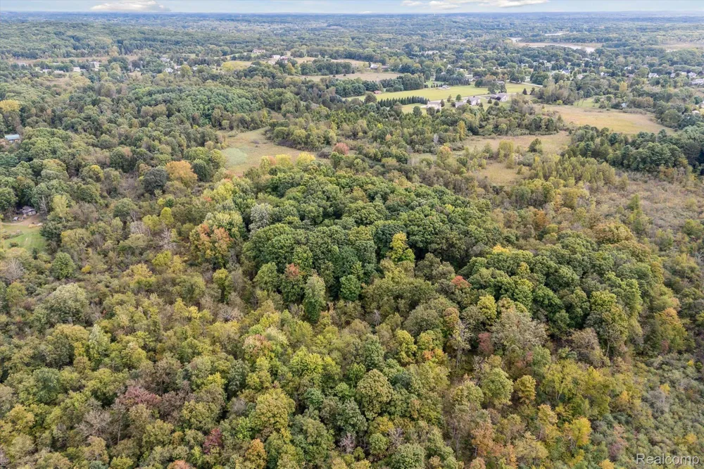 Swarthout Rd Hamburg Township, MI 48169