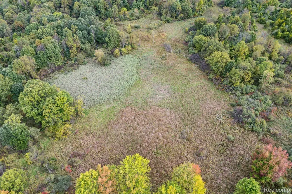 Swarthout Rd Hamburg Township, MI 48169