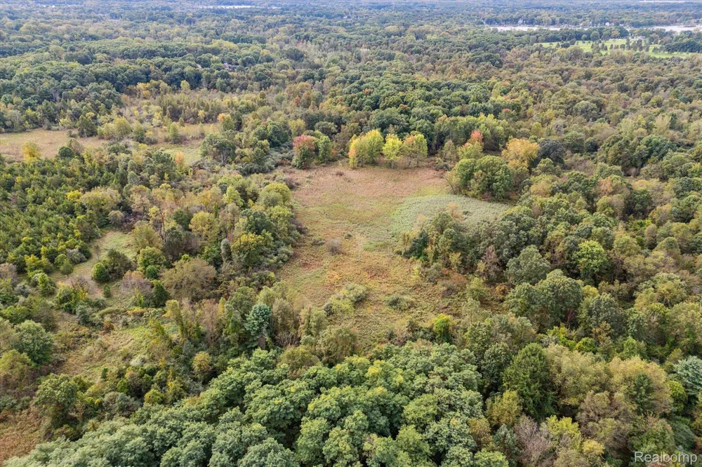 Swarthout Rd Hamburg Township, MI 48169
