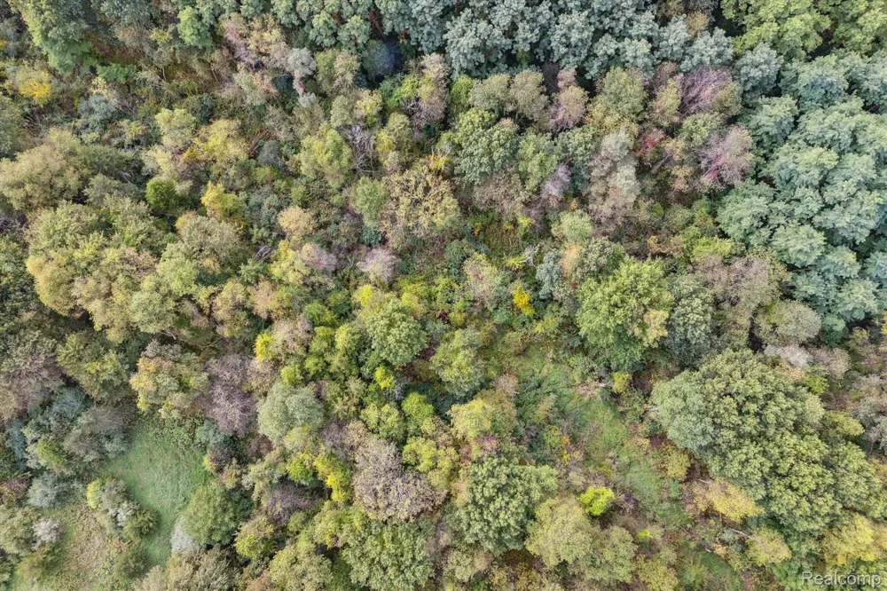 Swarthout Rd Hamburg Township, MI 48169