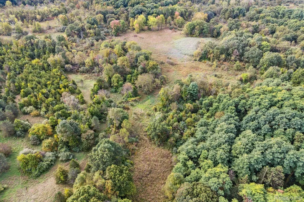 Swarthout Rd Hamburg Township, MI 48169