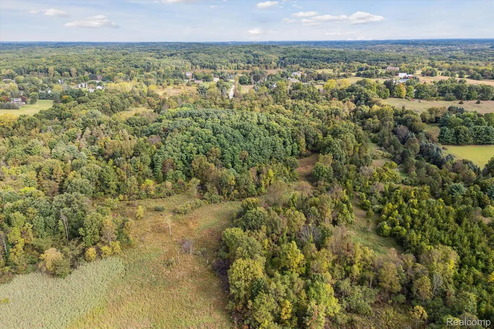 Swarthout Rd Hamburg Township, MI 48169