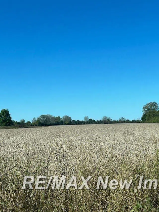 Bay Road Kochville Township, MI 48604