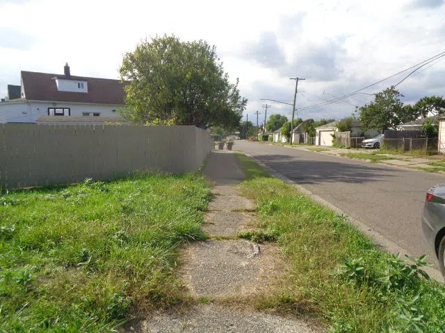 4994 CARPENTER STREET Hamtramck City, MI 48212
