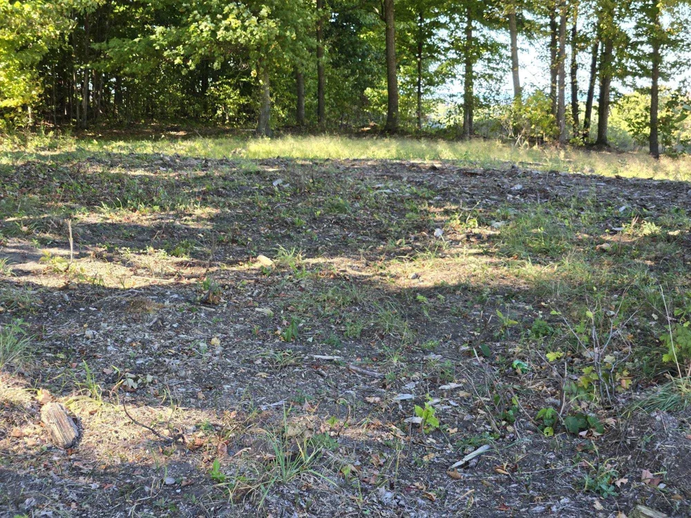 16 Heather Ridge Trail Homestead Township, MI 49617