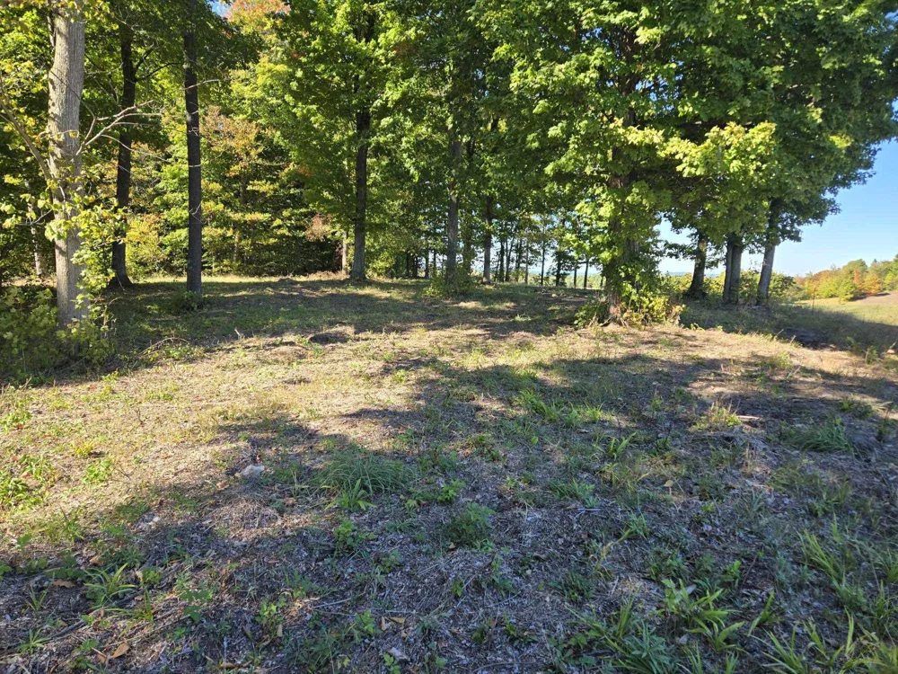 16 Heather Ridge Trail Homestead Township, MI 49617