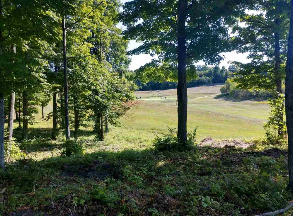 17 Heather Ridge Trail Homestead Township, MI 49617