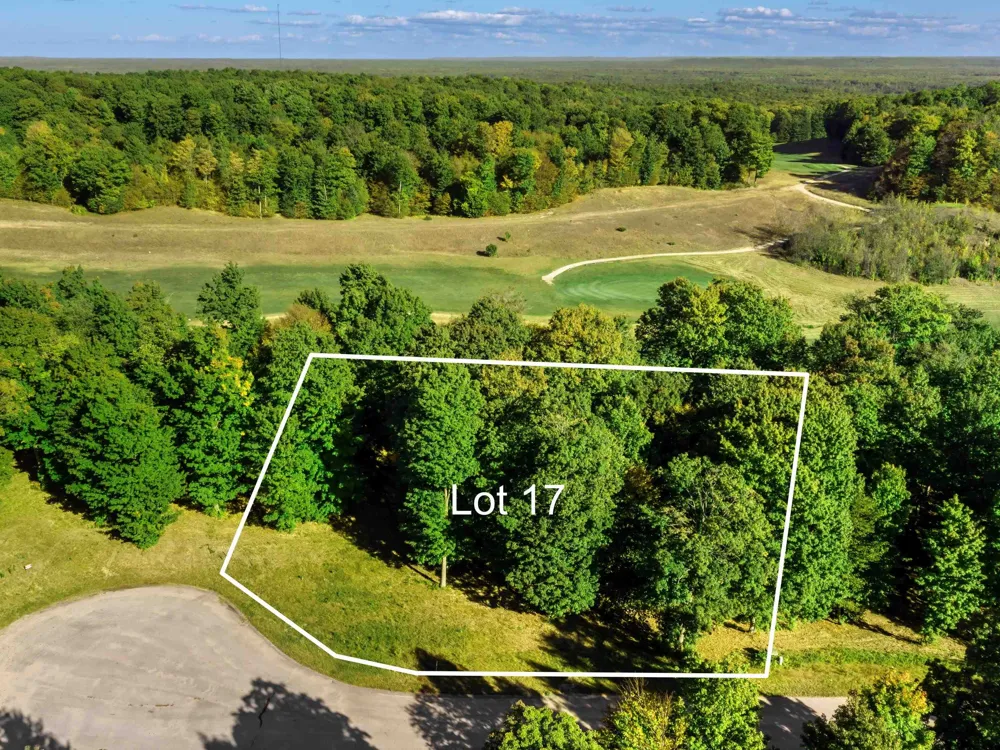 17 Heather Ridge Trail Homestead Township, MI 49617