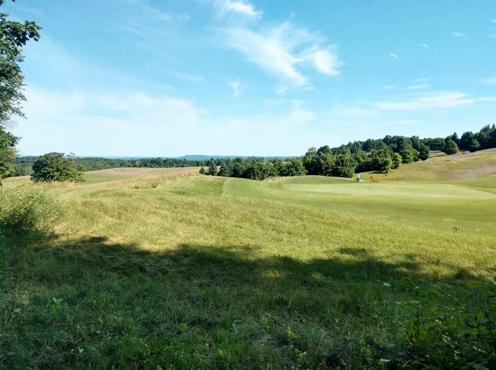 17 Heather Ridge Trail Homestead Township, MI 49617