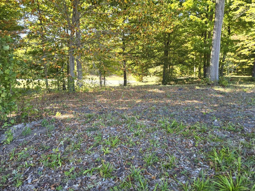 17 Heather Ridge Trail Homestead Township, MI 49617