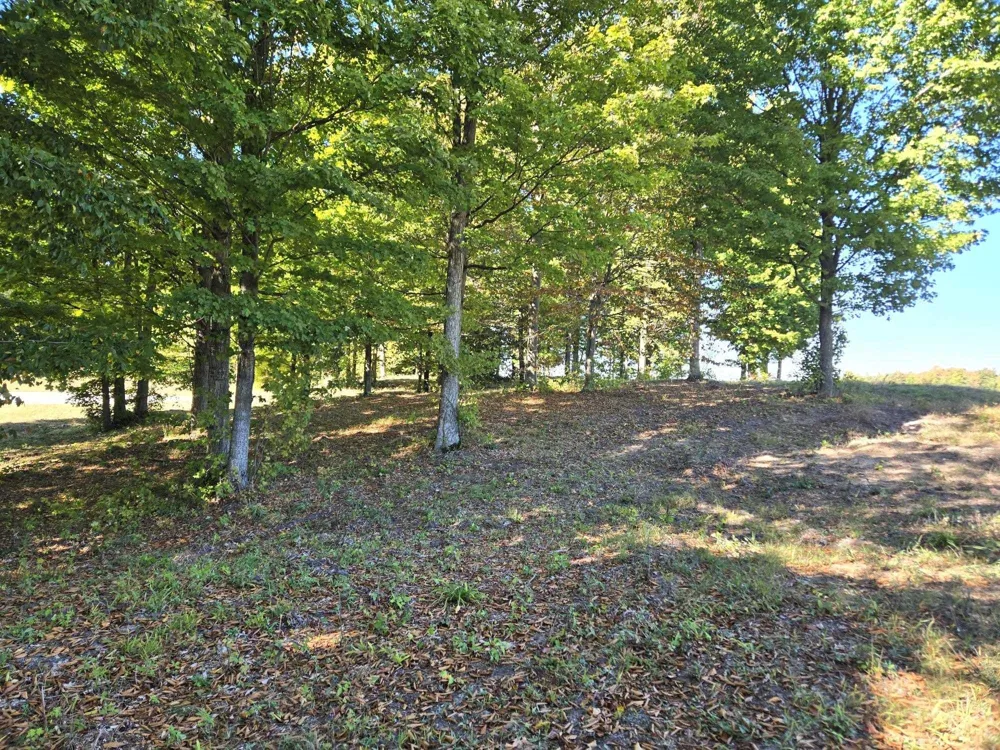 17 Heather Ridge Trail Homestead Township, MI 49617
