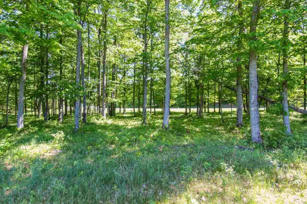 3 Heather Ridge Trail Homestead Township, MI 49617