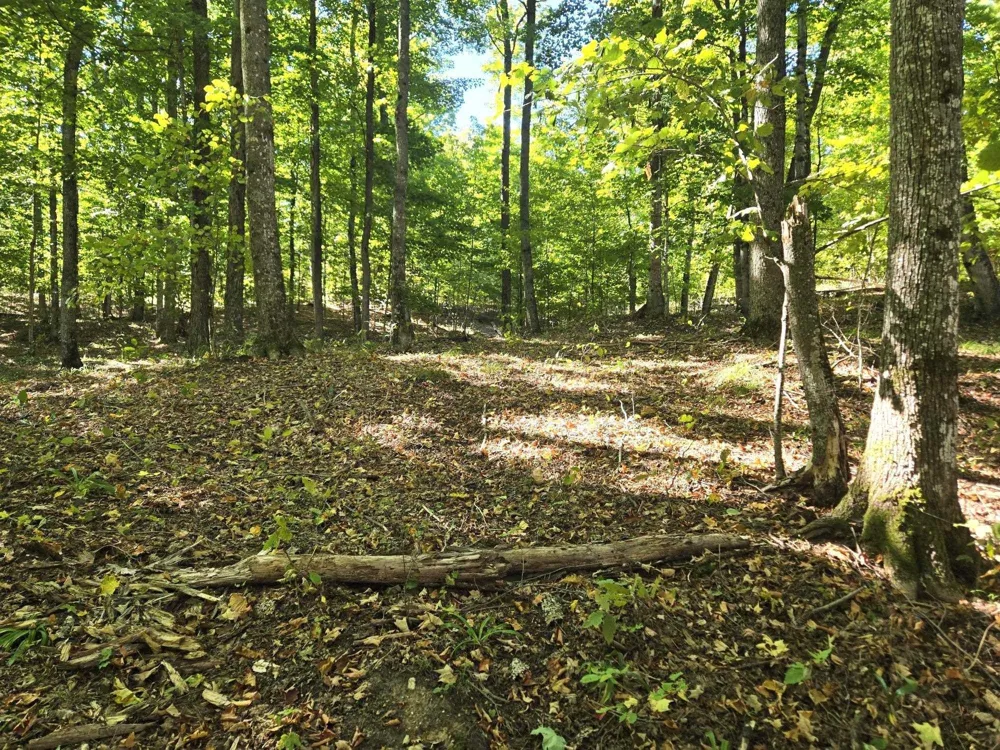 3 Heather Ridge Trail Homestead Township, MI 49617