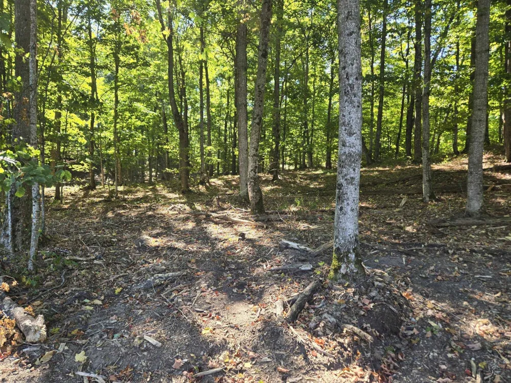 3 Heather Ridge Trail Homestead Township, MI 49617
