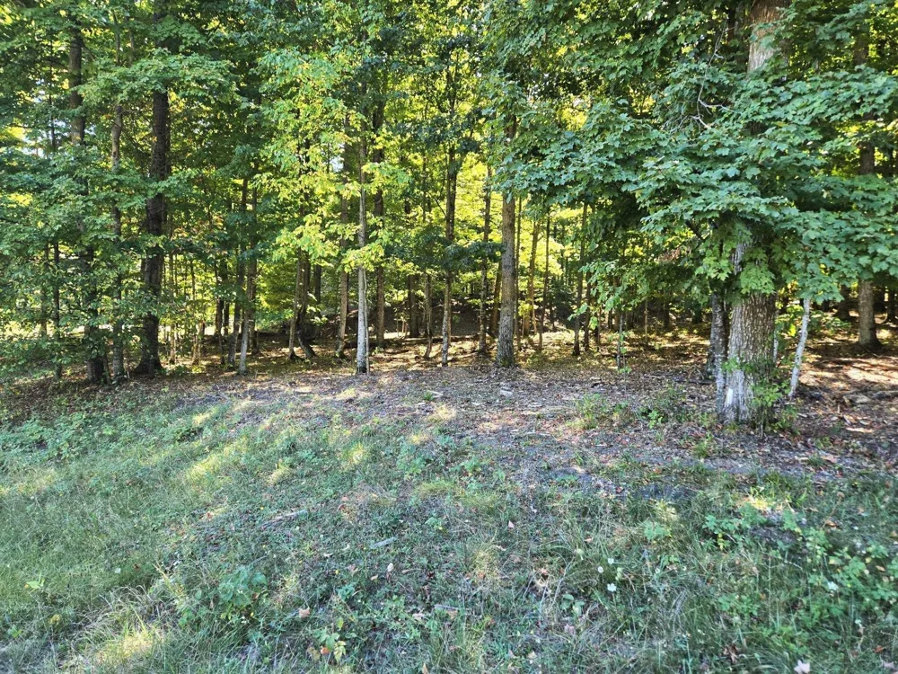 3 Heather Ridge Trail Homestead Township, MI 49617