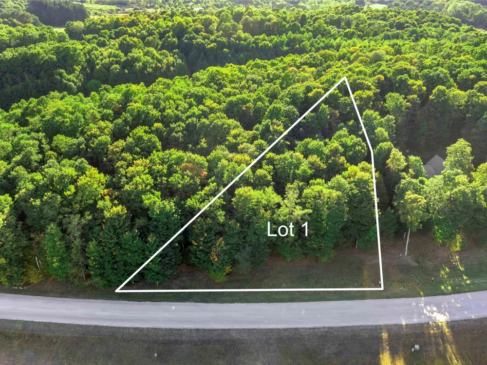 1 Heather Ridge Trail Homestead Township, MI 49617