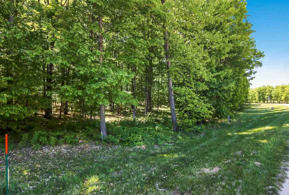 1 Heather Ridge Trail Homestead Township, MI 49617