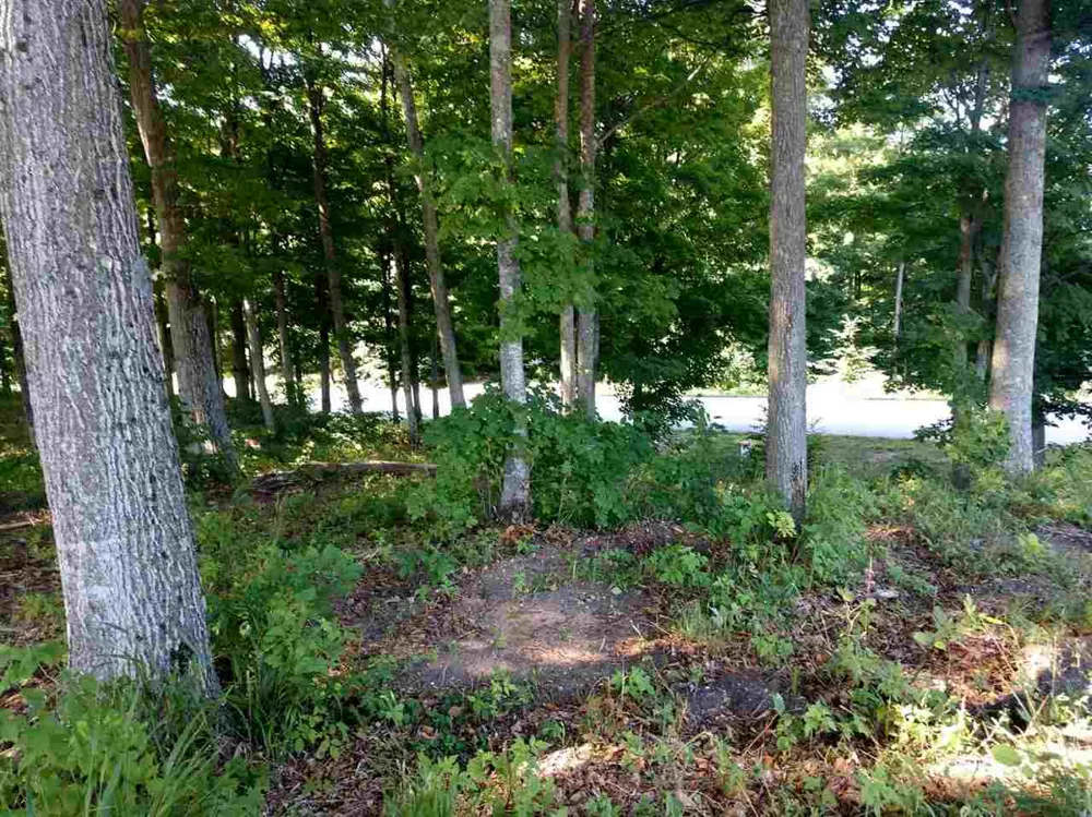 1 Heather Ridge Trail Homestead Township, MI 49617
