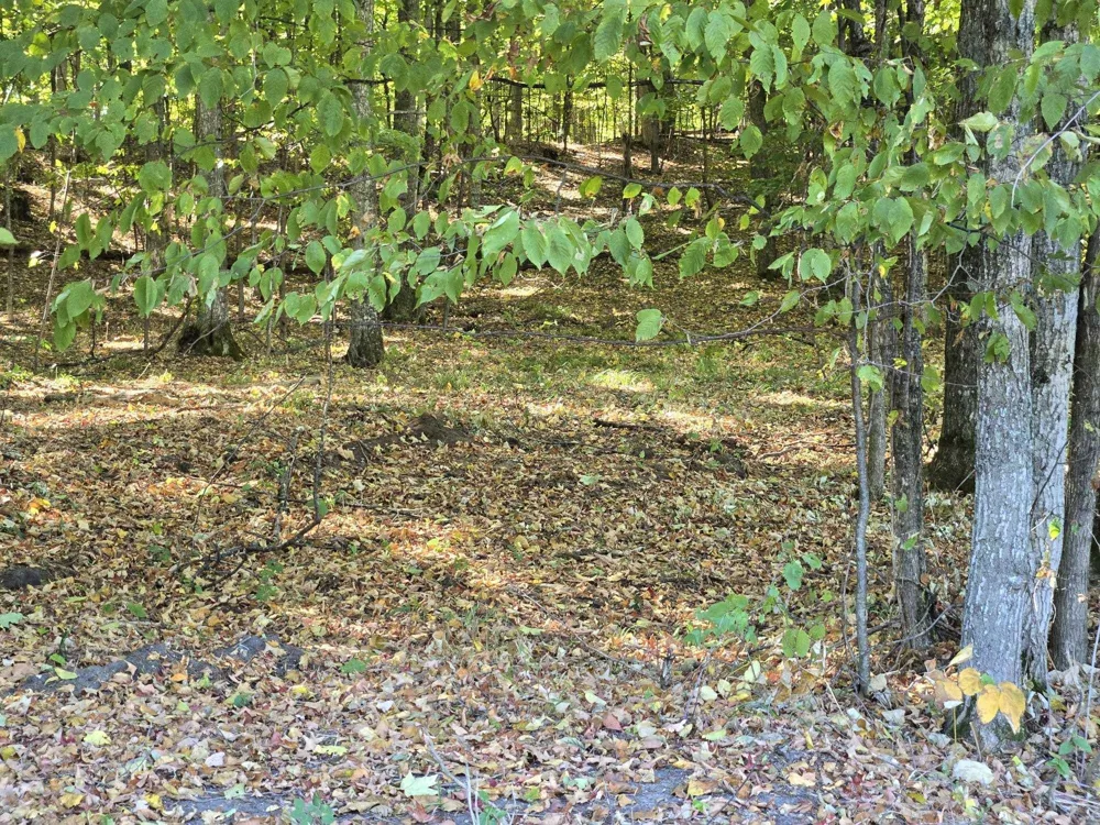 1 Heather Ridge Trail Homestead Township, MI 49617