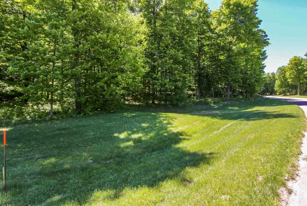 1 Heather Ridge Trail Homestead Township, MI 49617