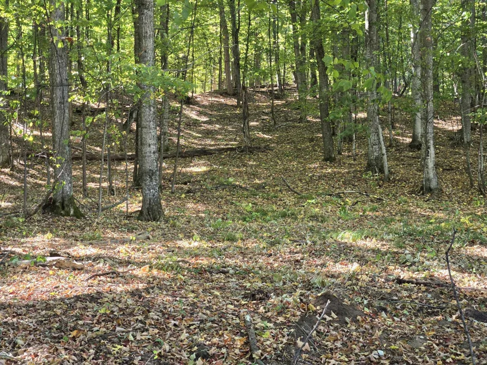 1 Heather Ridge Trail Homestead Township, MI 49617