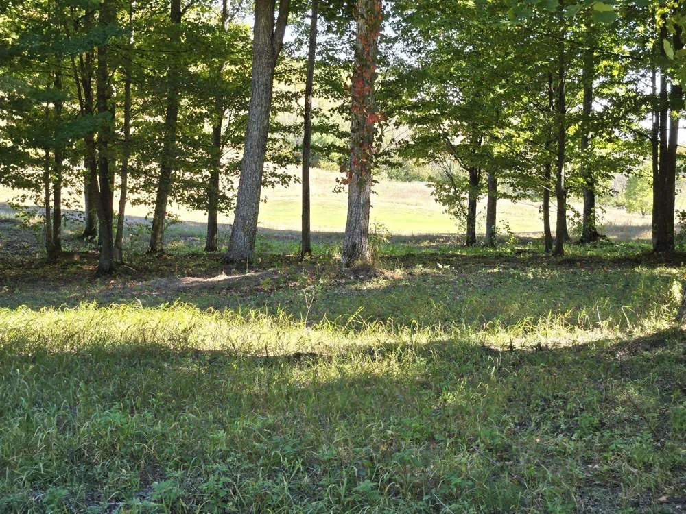 20 Heather Ridge Trail Homestead Township, MI 49617
