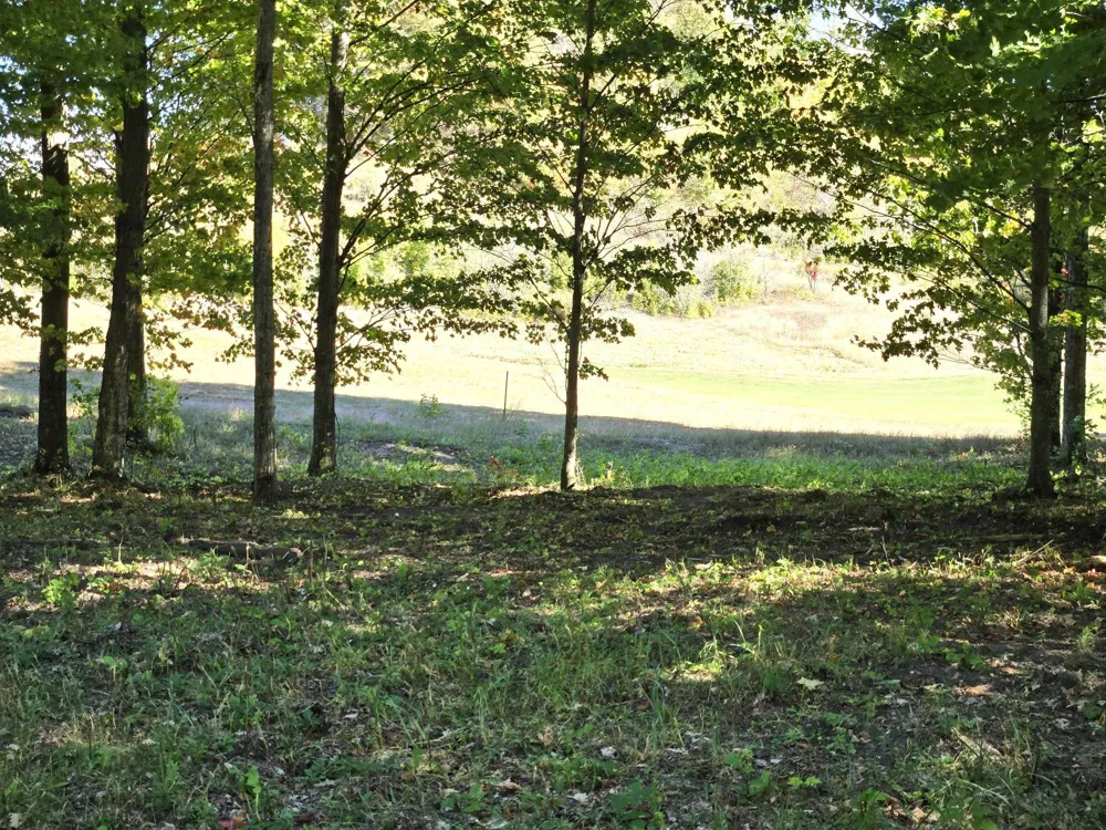 20 Heather Ridge Trail Homestead Township, MI 49617