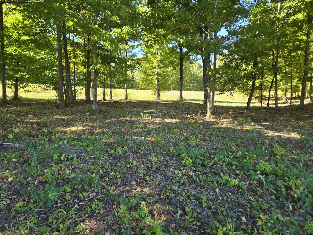 20 Heather Ridge Trail Homestead Township, MI 49617