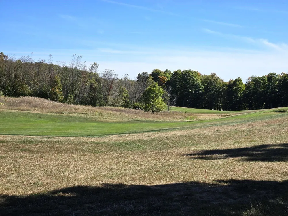 20 Heather Ridge Trail Homestead Township, MI 49617