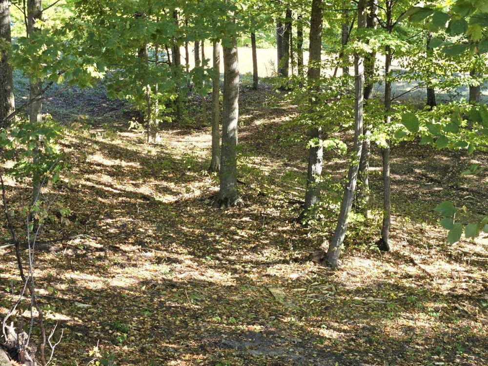 12 Heather Ridge Trail Homestead Township, MI 49617