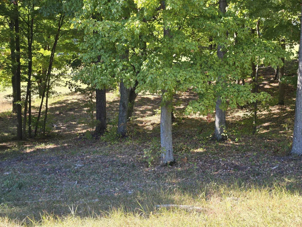 12 Heather Ridge Trail Homestead Township, MI 49617