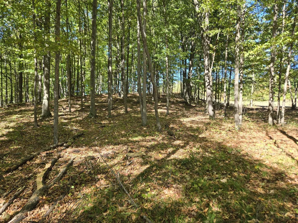 25 Heather Ridge Trail Homestead Township, MI 49617