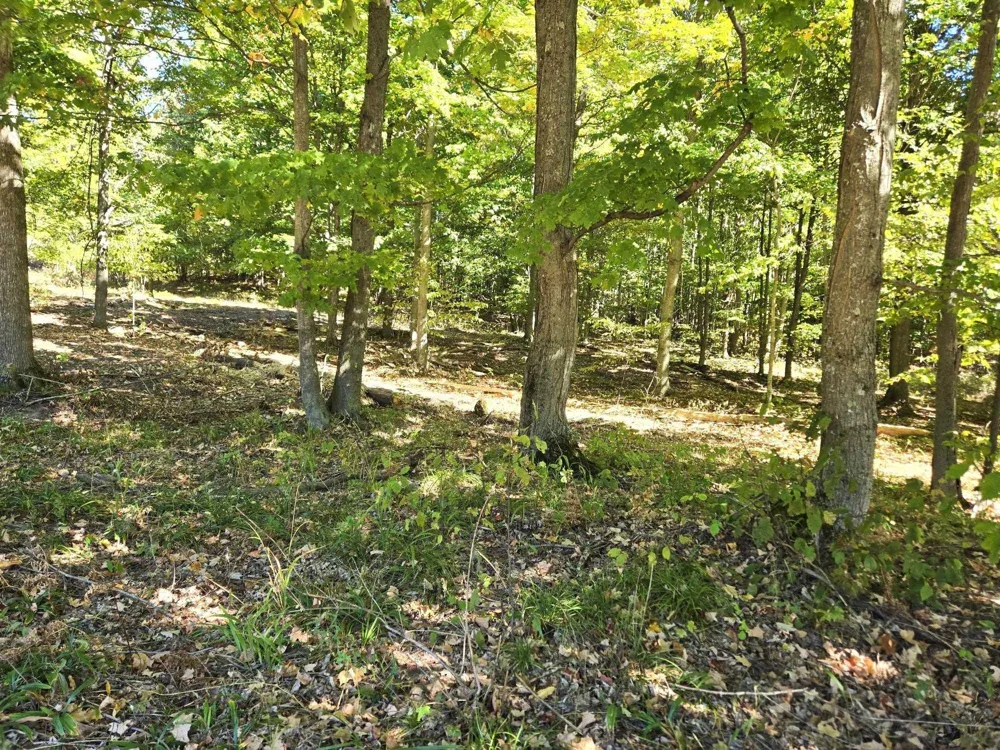 25 Heather Ridge Trail Homestead Township, MI 49617