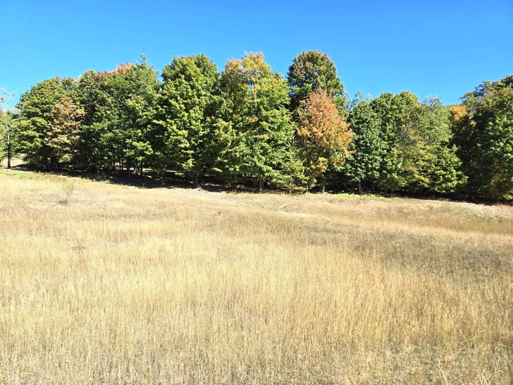 25 Heather Ridge Trail Homestead Township, MI 49617