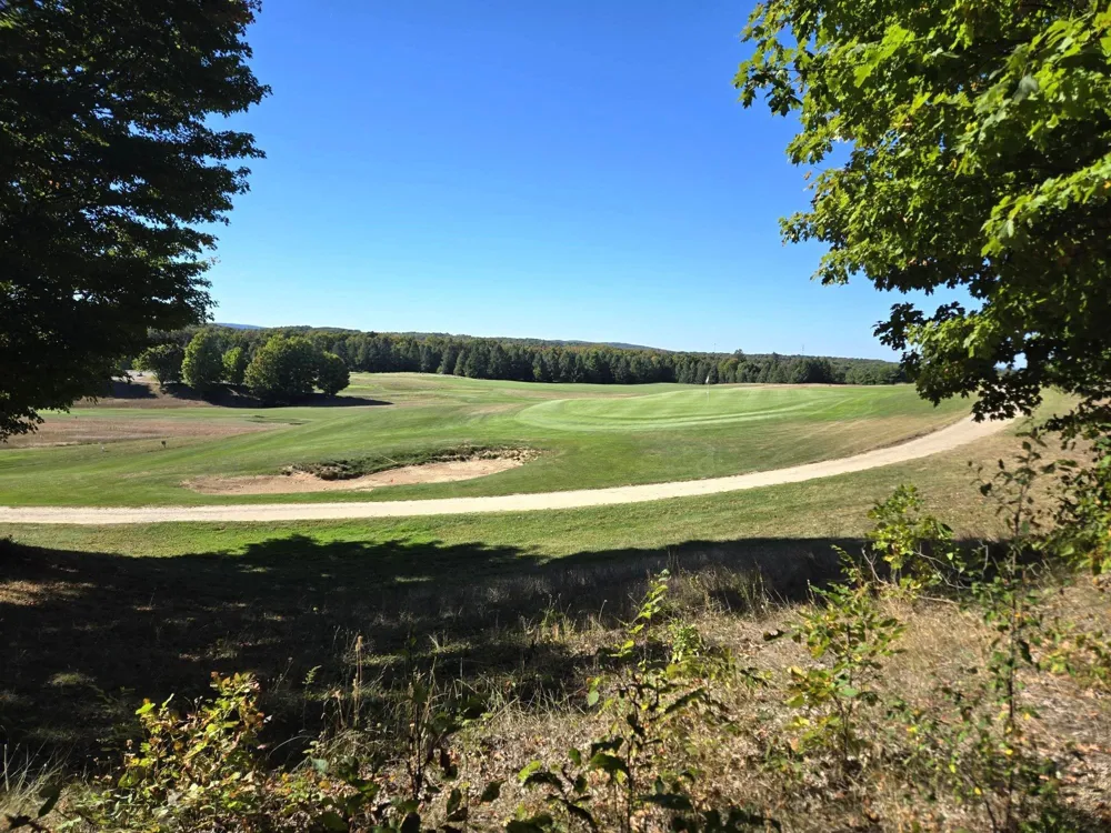 13 Heather Ridge Trail Homestead Township, MI 49617
