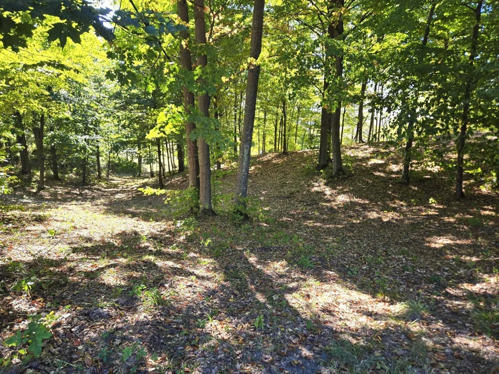 13 Heather Ridge Trail Homestead Township, MI 49617