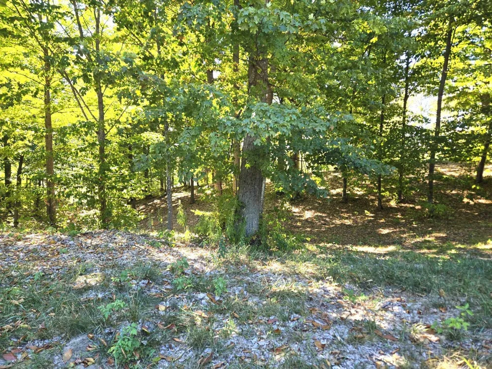 13 Heather Ridge Trail Homestead Township, MI 49617