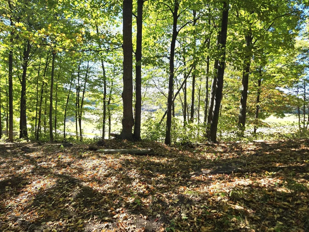 13 Heather Ridge Trail Homestead Township, MI 49617