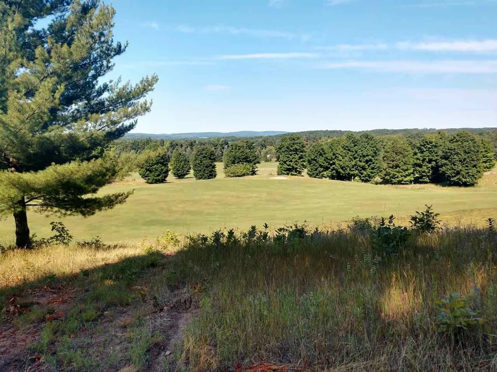 8 Heather Ridge Trail Homestead Township, MI 49617