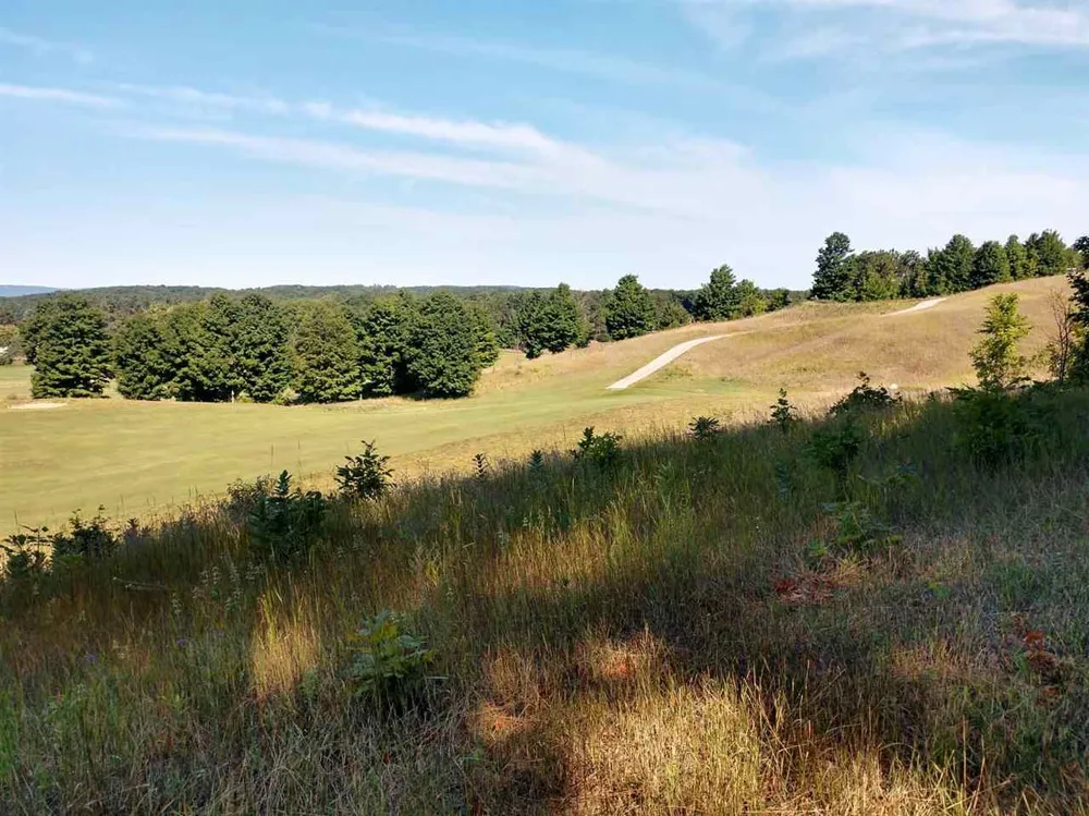 8 Heather Ridge Trail Homestead Township, MI 49617
