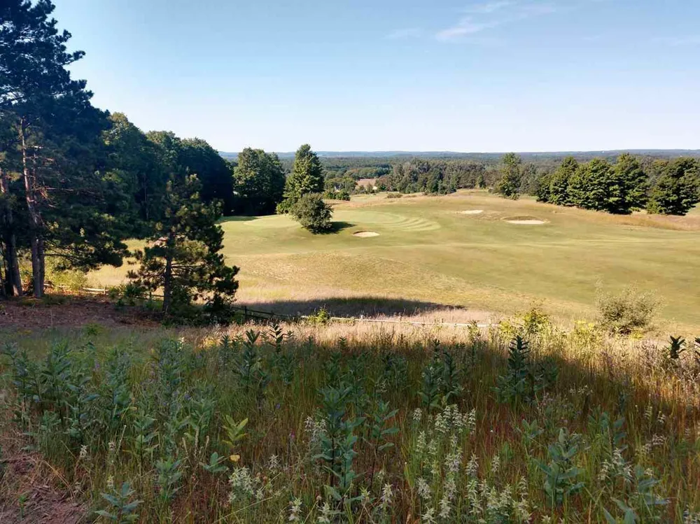 8 Heather Ridge Trail Homestead Township, MI 49617