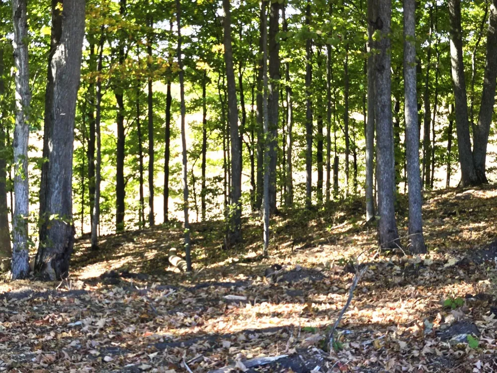 8 Heather Ridge Trail Homestead Township, MI 49617