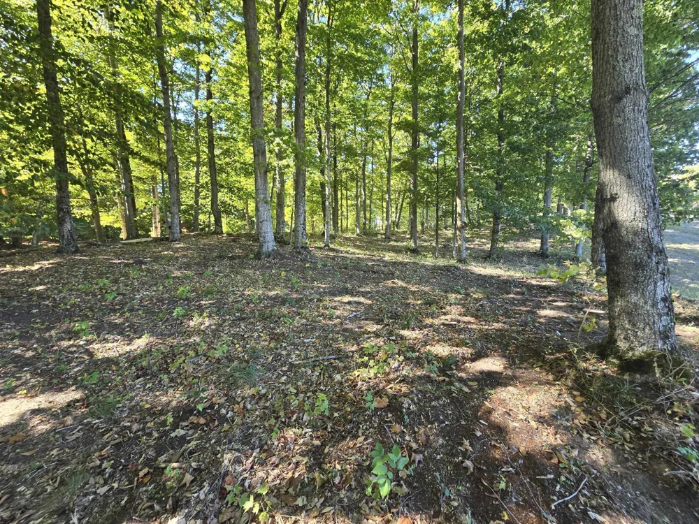 23 Heather Ridge Trail Homestead Township, MI 49617