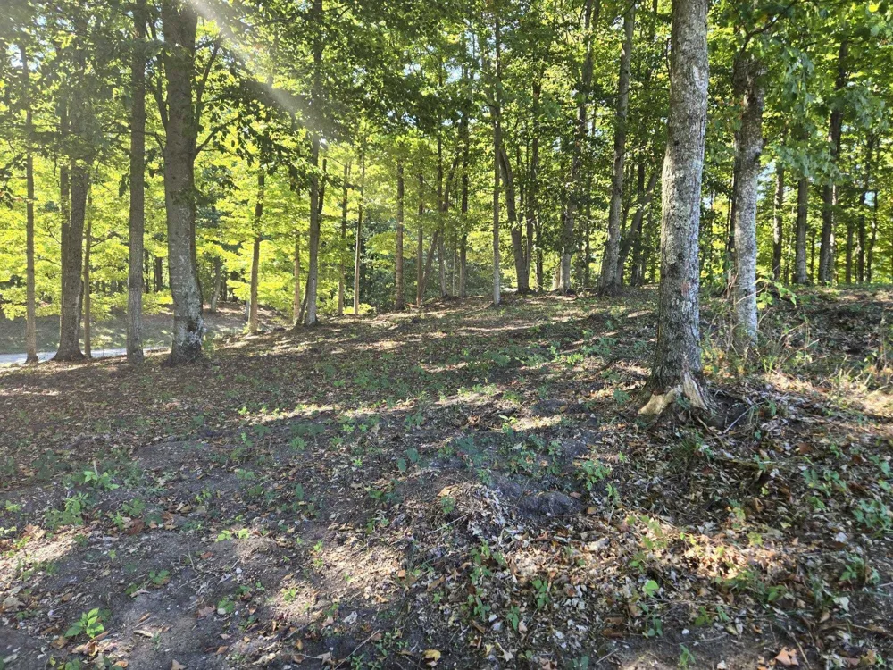 23 Heather Ridge Trail Homestead Township, MI 49617